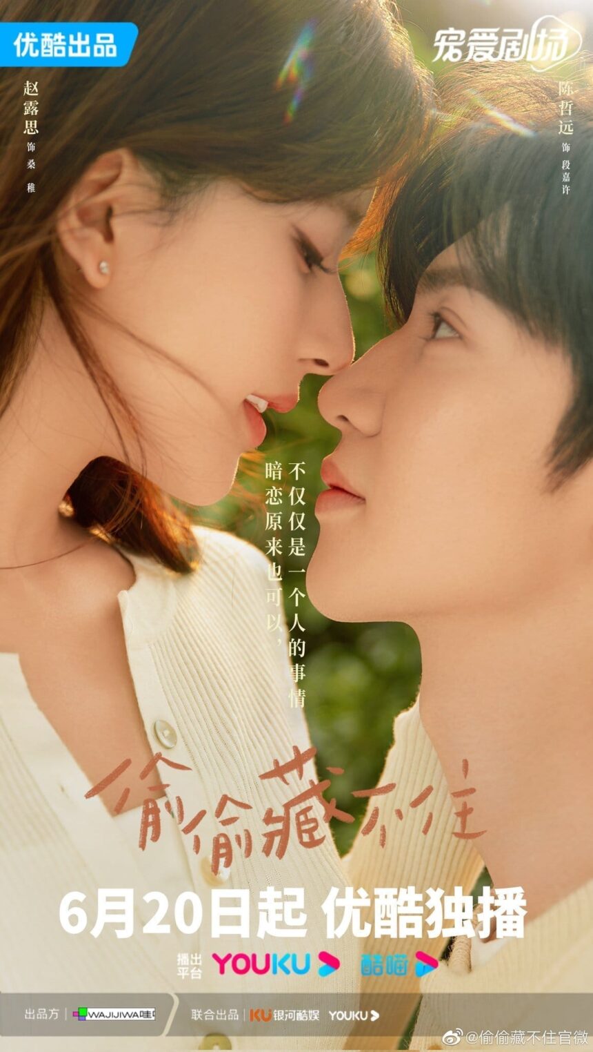 Hidden Love Chinese Drama