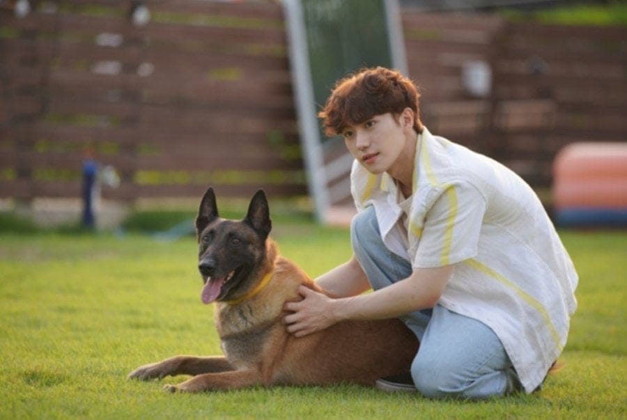 Just Bs JM Geonu Make Global Acting Debut in Love Is Like A Cat 2 Just Bs JM Geonu Make Global Acting Debut in Love Is Like A Cat 2