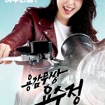 The Brave Yong Soo Jung Cast and Story