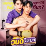 Wandee Goodday Unexpected Romance Blossoms Between Boxer Doctor