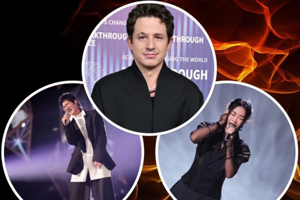 Singer 2024 Results Na Ying Loses Again Sun Nan Soars Charlie Puth Joins Next Round