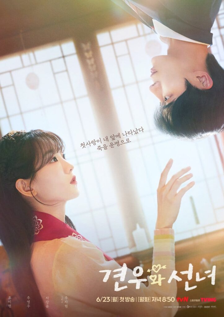 Head over Heels 2025 Head over Heels 2025