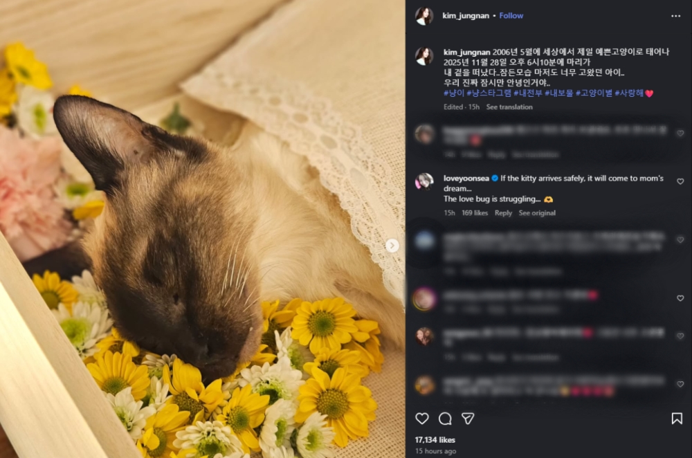 Actress Kim Jung nan Mourns Loss of 18 Year Pet